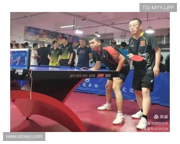 对话乒乓球名将赵伟回顾辉煌生涯与未来展望