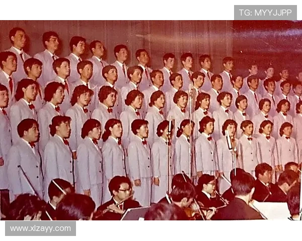 张丽的排球之路：从梦想起航到辉煌成就的心路历程