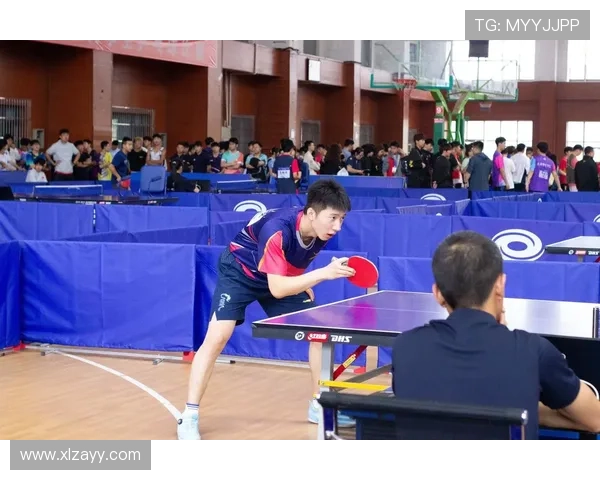 成都乒乓球队个人能力深度对比分析及发展潜力探讨