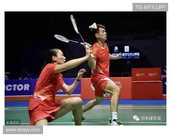 成都羽毛球队区域防守体系解析与战术应用探讨