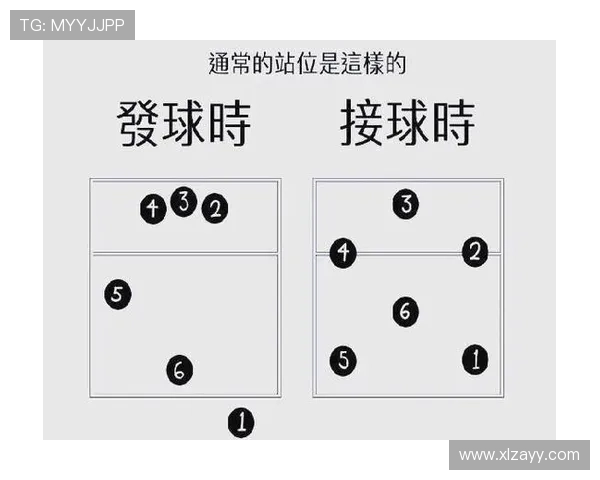 排球盛宴：深入了解杭州排球队的训练与比赛节奏